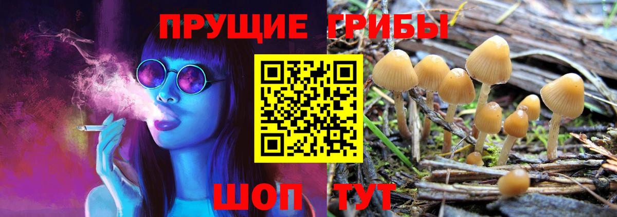Азов  Галлюциногенные грибы GOLDEN TEACHER  Вход с VPN  Галлюциногенные грибы Psilocybine cubensis 