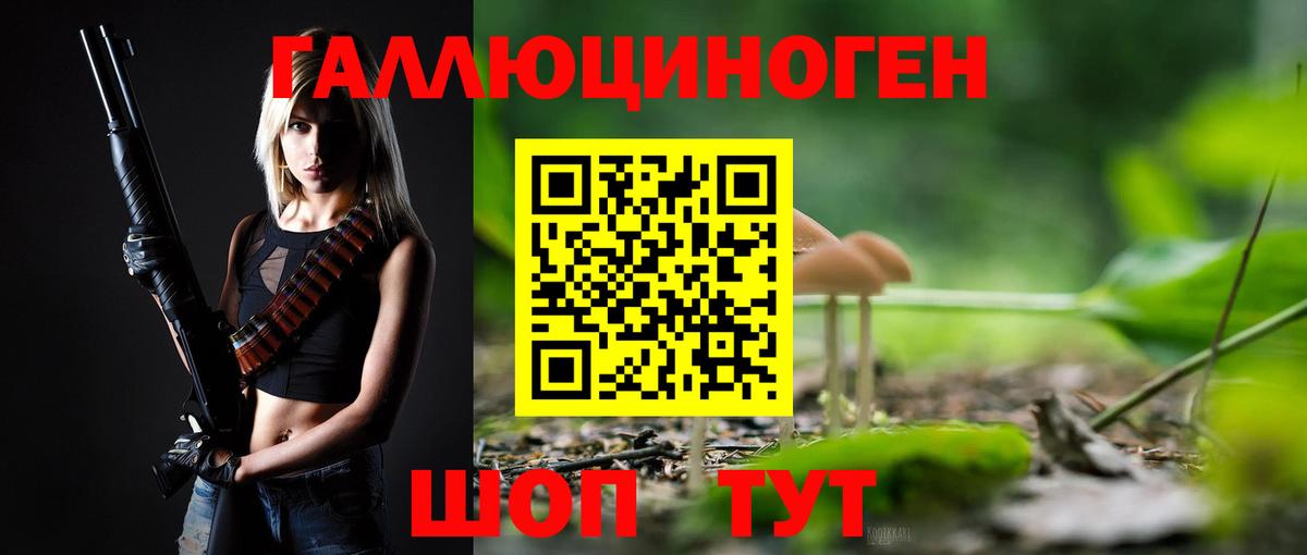 Галлюциногенные грибы Cubensis Азов